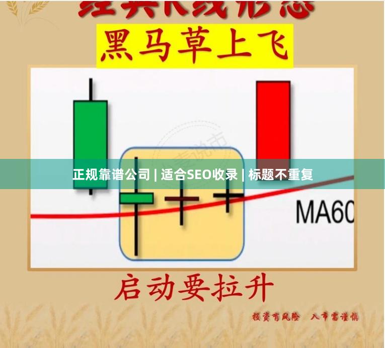 正规靠谱公司 | 适合SEO收录 | 标题不重复