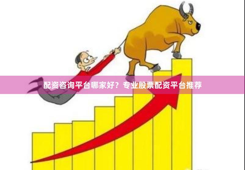 配资咨询平台哪家好?专业股票配资平台推荐