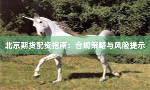北京期货配资指南：合规策略与风险提示